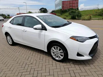 Toyota Corolla LE 2019