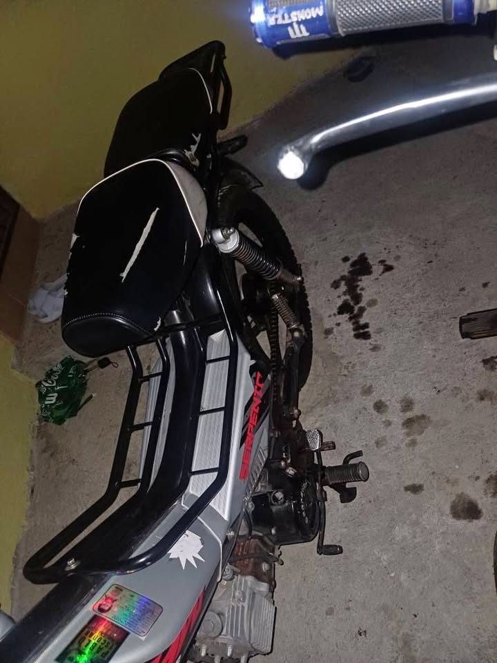 Bicimoto 110R