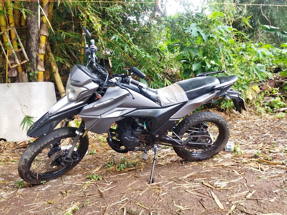 Se vende moto Euromot 250
